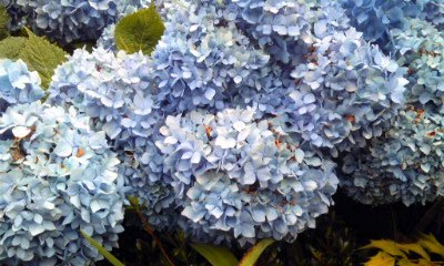 �~�q�̓��L