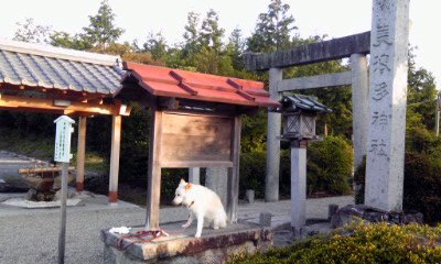 �~�q�̓��L