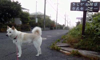 �~�q�̓��L