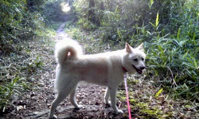 �~�q�̓��L