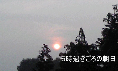 �~�q�̓��L