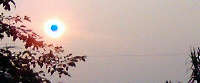 �~�q�̓��L