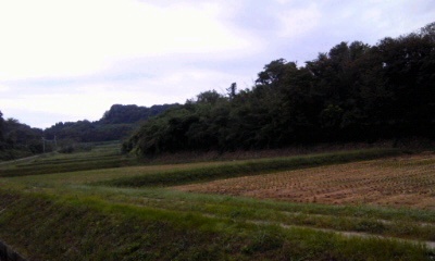 �~�q�̓��L