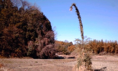 �~�q�̓��L